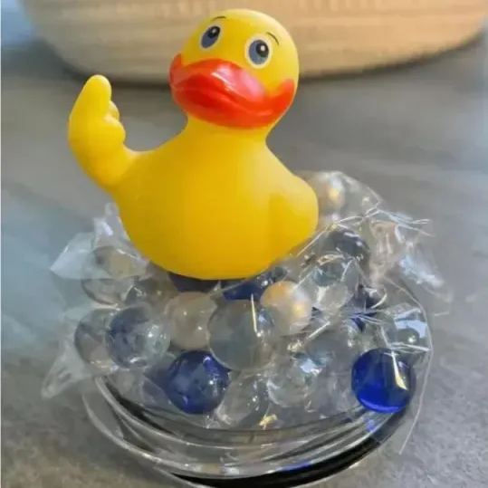 😲Rude Animals Figurine with Middle Finger Series