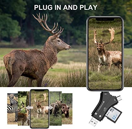 4-in-1 Media Transfer with Memory