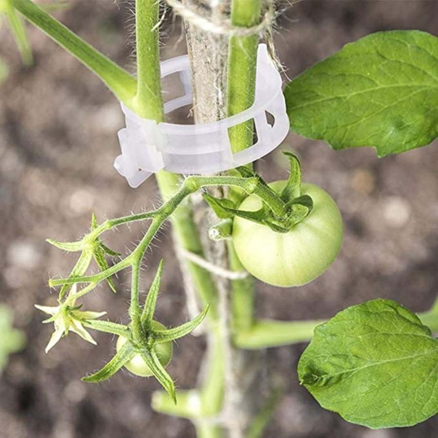 🔥HOT SALE 49% OFF 🤩Plant Support Clips🌱