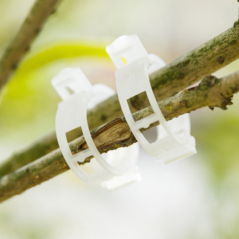 🔥HOT SALE 49% OFF 🤩Plant Support Clips🌱