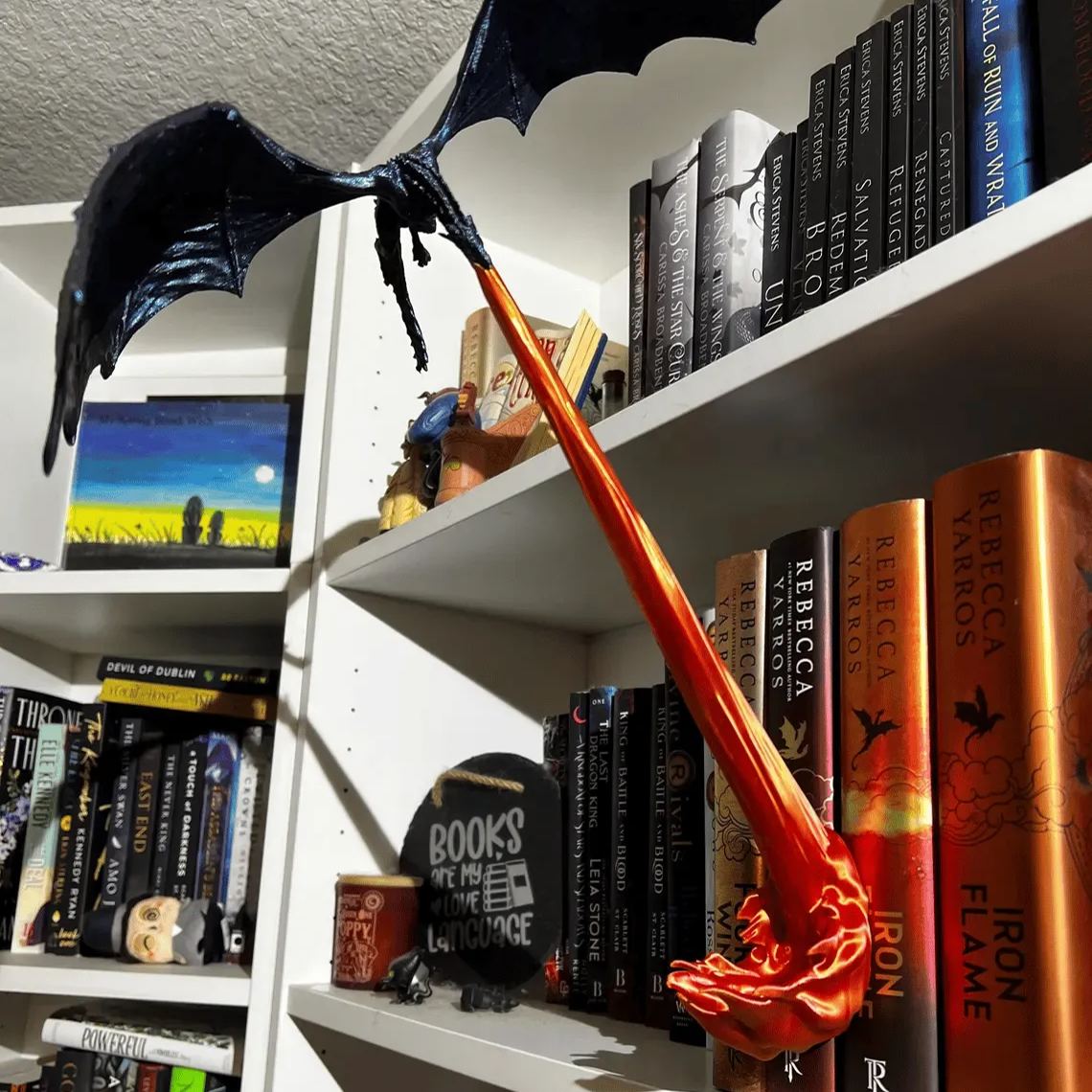 🐉Dragon Flame Book Nook