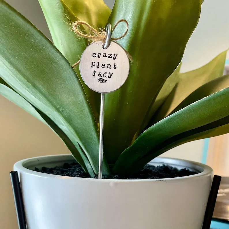 🌱 Garden Potted Plant Decoration