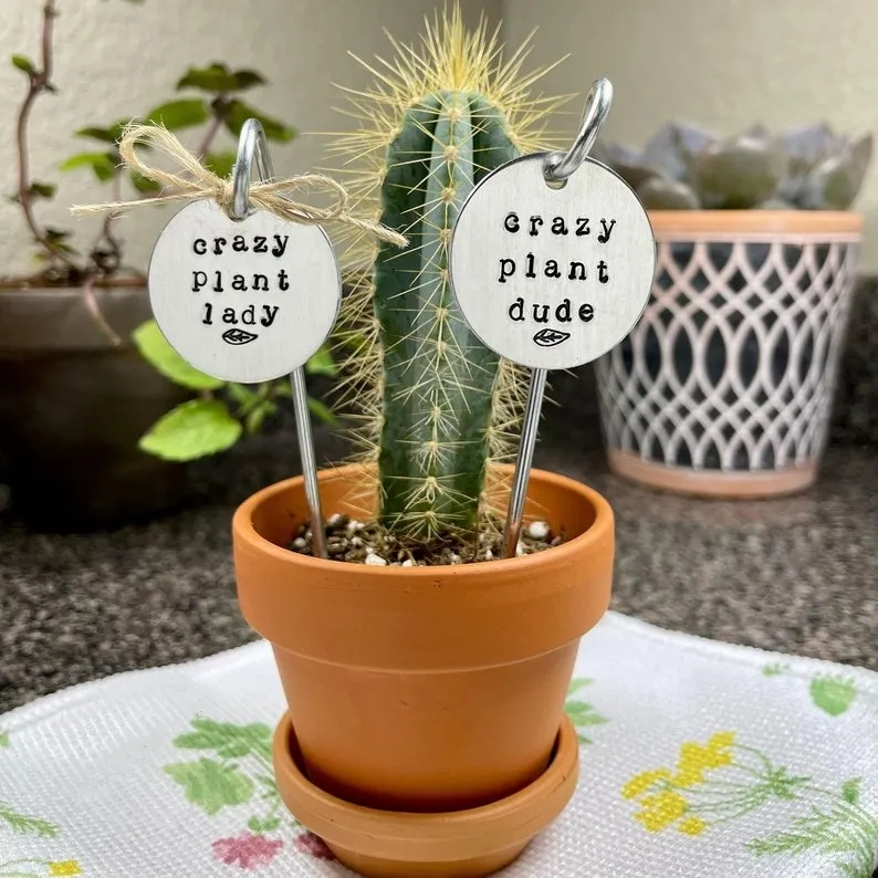 🌱 Garden Potted Plant Decoration