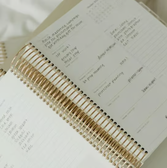 🔥Hot Sale 50%OFF🔥 2025 Daily Planner