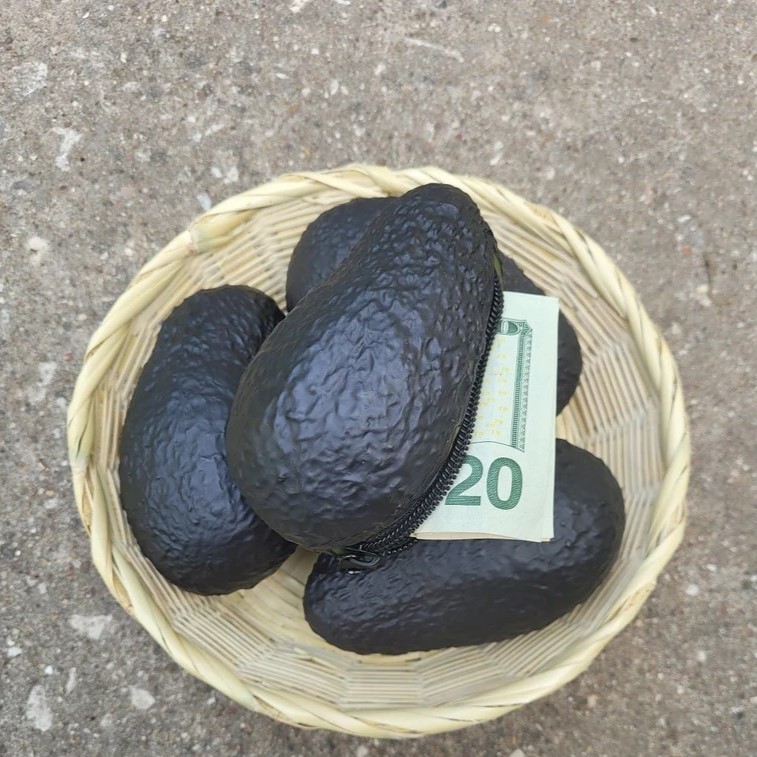 Cute Avocado Coin Purse
