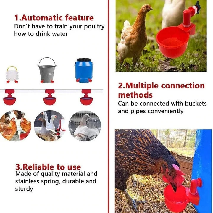 🔥Last Day 50% OFF🔥Poultry Automatic Drinking Bowl