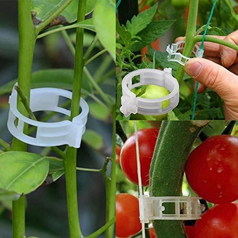 🔥HOT SALE 49% OFF 🤩Plant Support Clips🌱