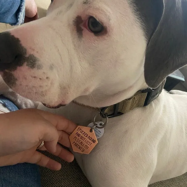 🤣Funny Dog Tag