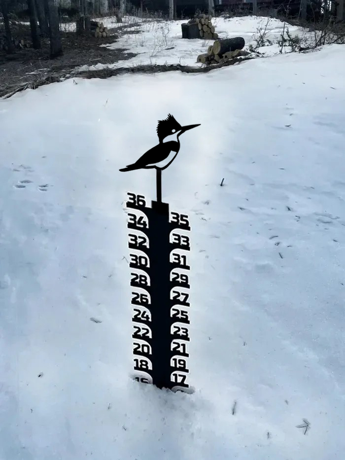 Christmas Sale 50% Off-Iron Art Snow Gauge