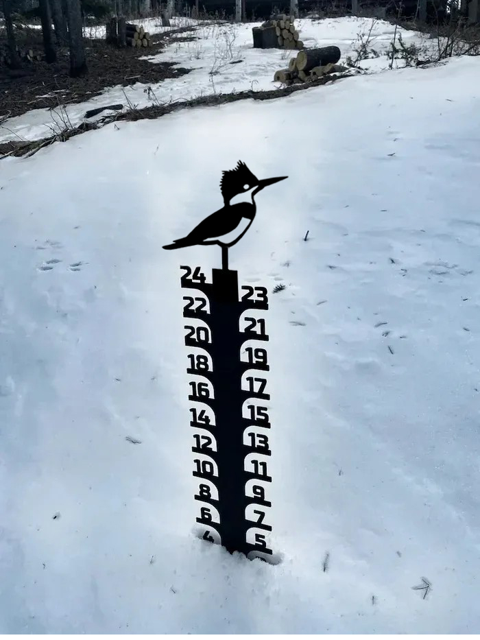 ❄Iron Art Snow Gauge-Great Unique Gift🎁