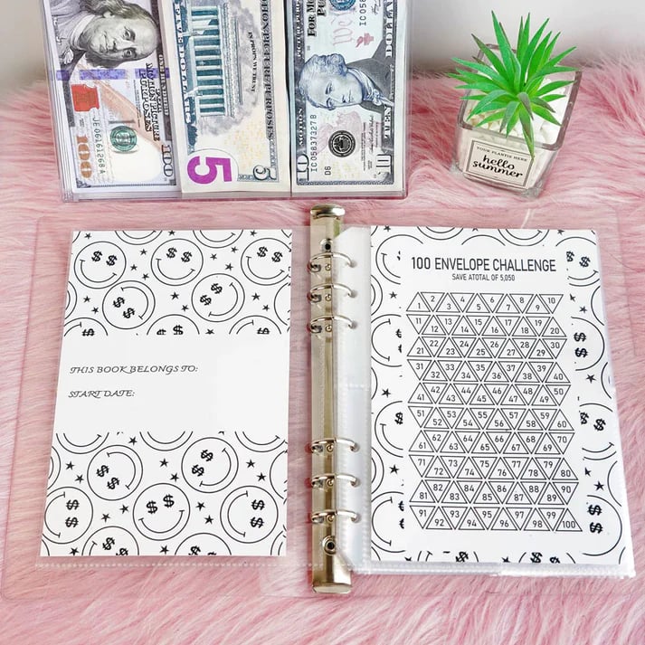 💞 ✉️100 Envelope Challenge Binder | Easy And fun Way To Save $5050