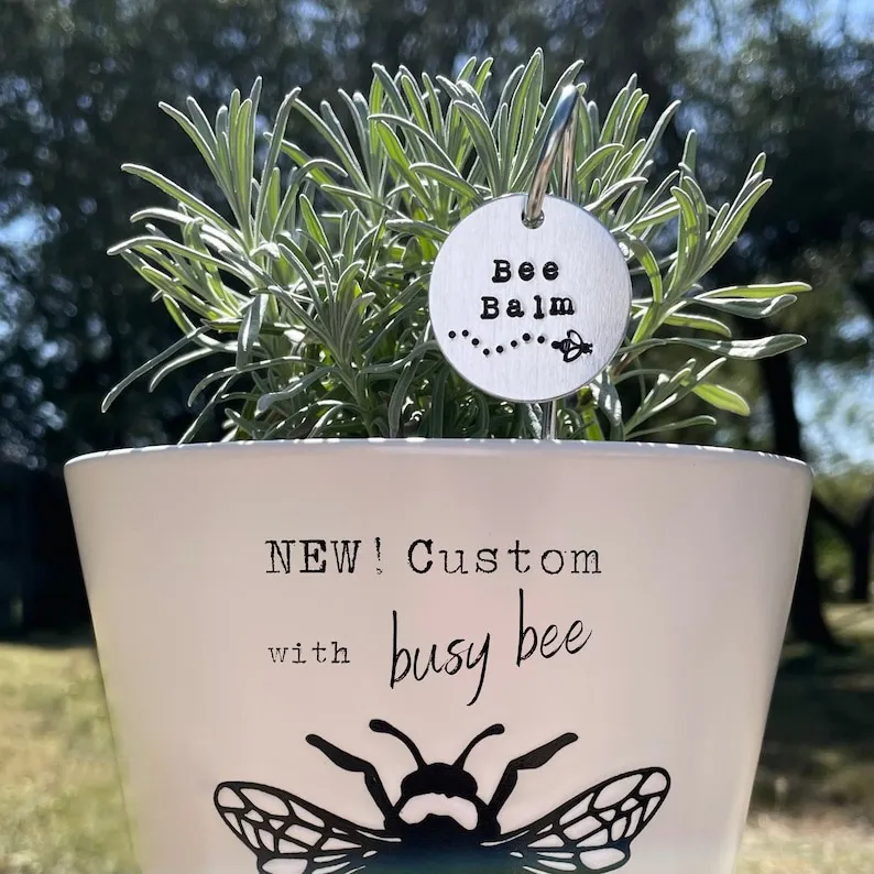 🌱 Garden Potted Plant Decoration