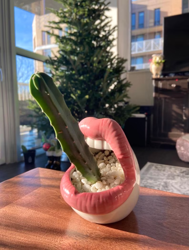 Lips Succulent Planter