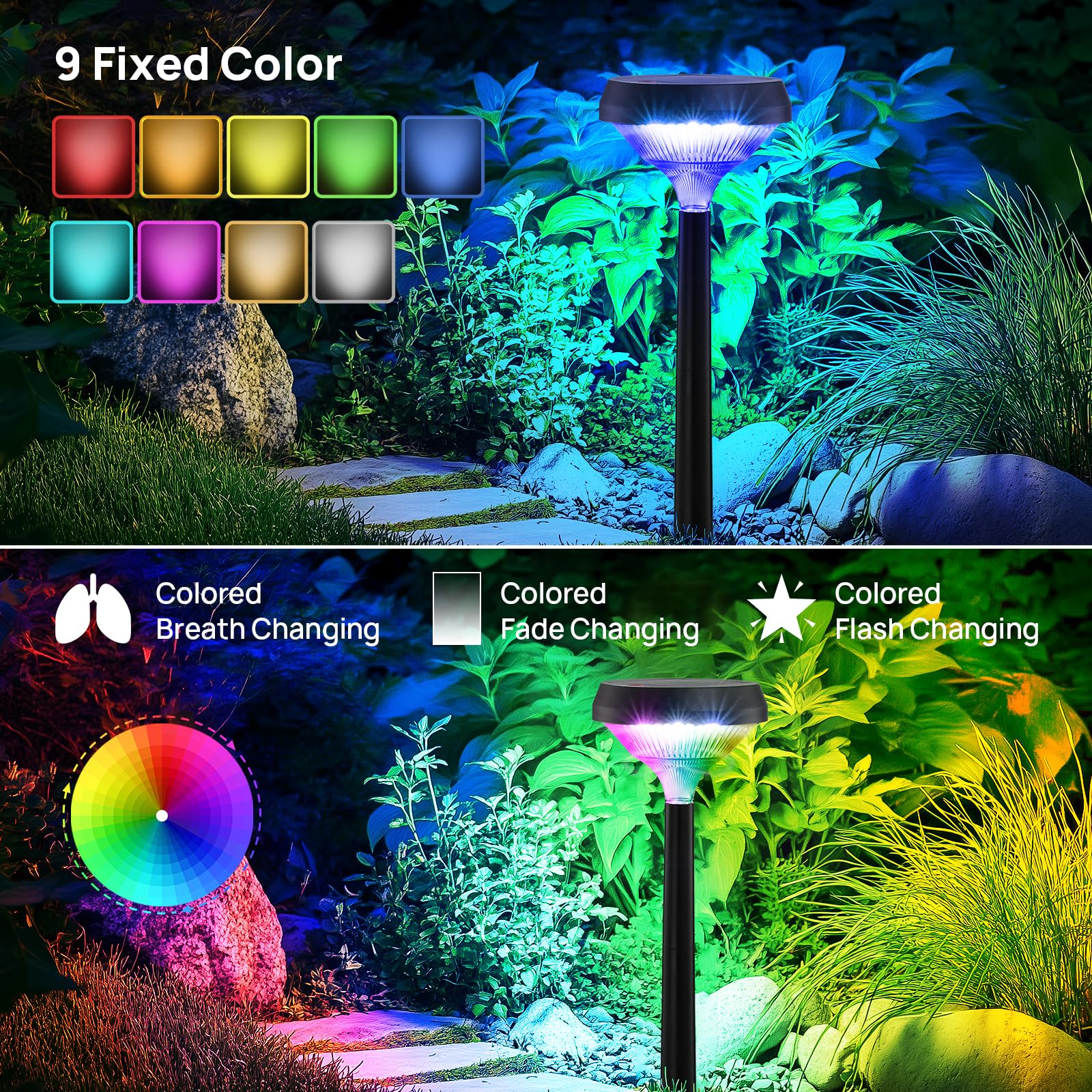 Solar Pathway Lights – Waterproof Warm White LED Garden & Walkway Lights