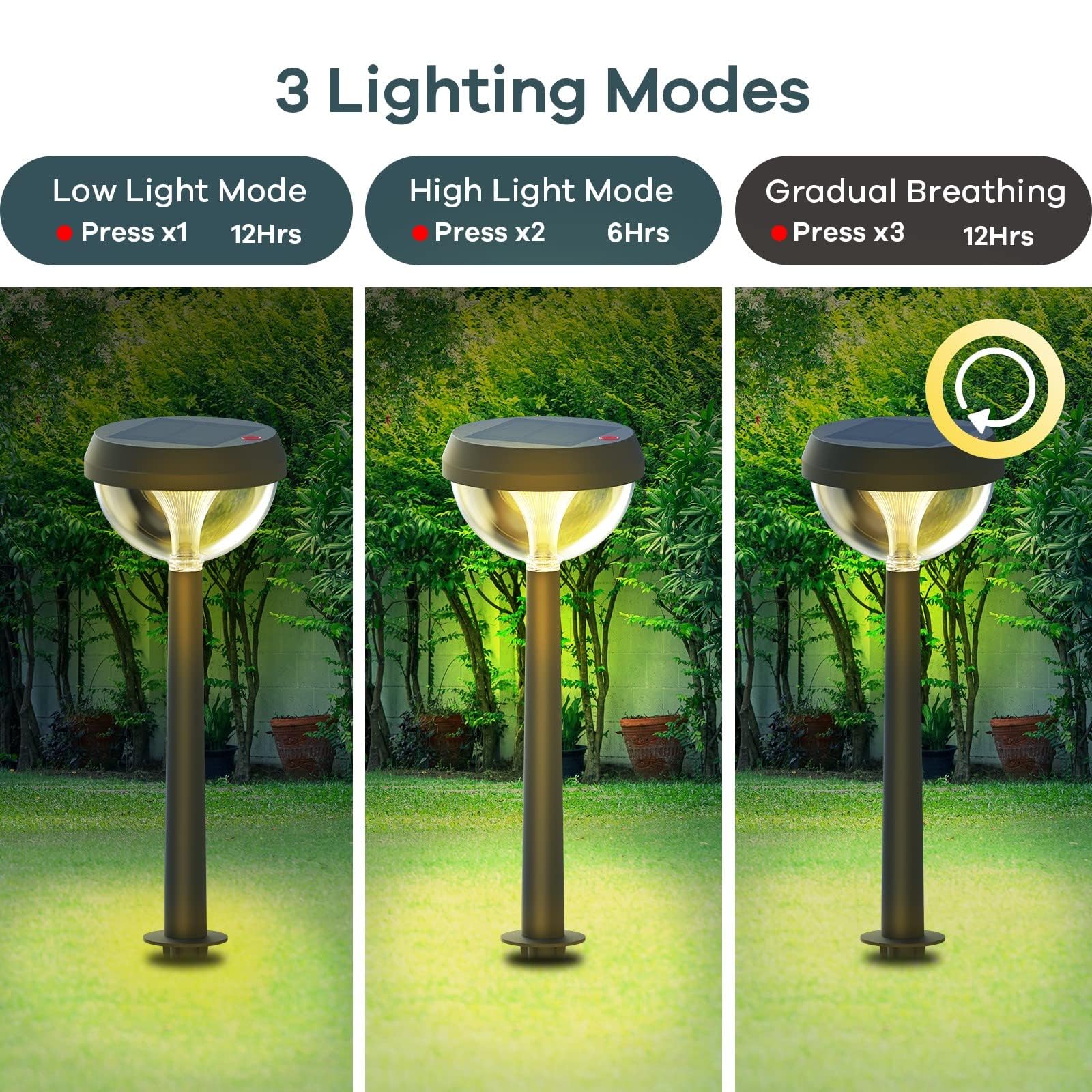 Solar Pathway Lights – Waterproof Warm White LED Garden & Walkway Lights