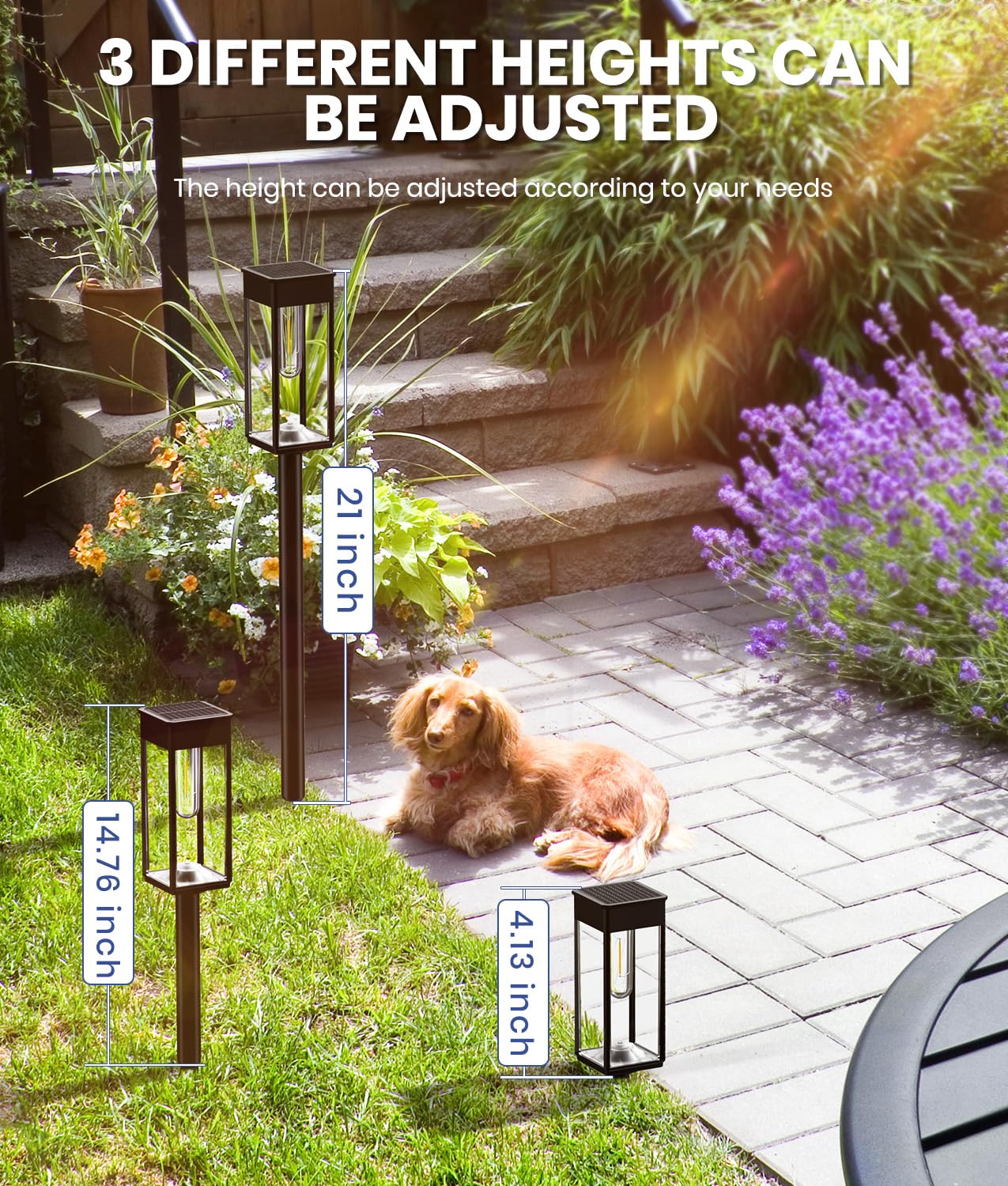 Solar Pathway Lights – Waterproof Warm White LED Garden & Walkway Lights