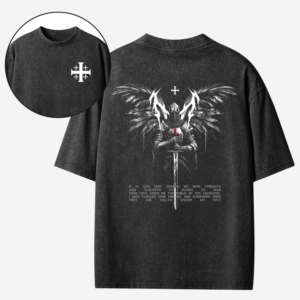 Winged Knight Vintage Washed T-Shirt