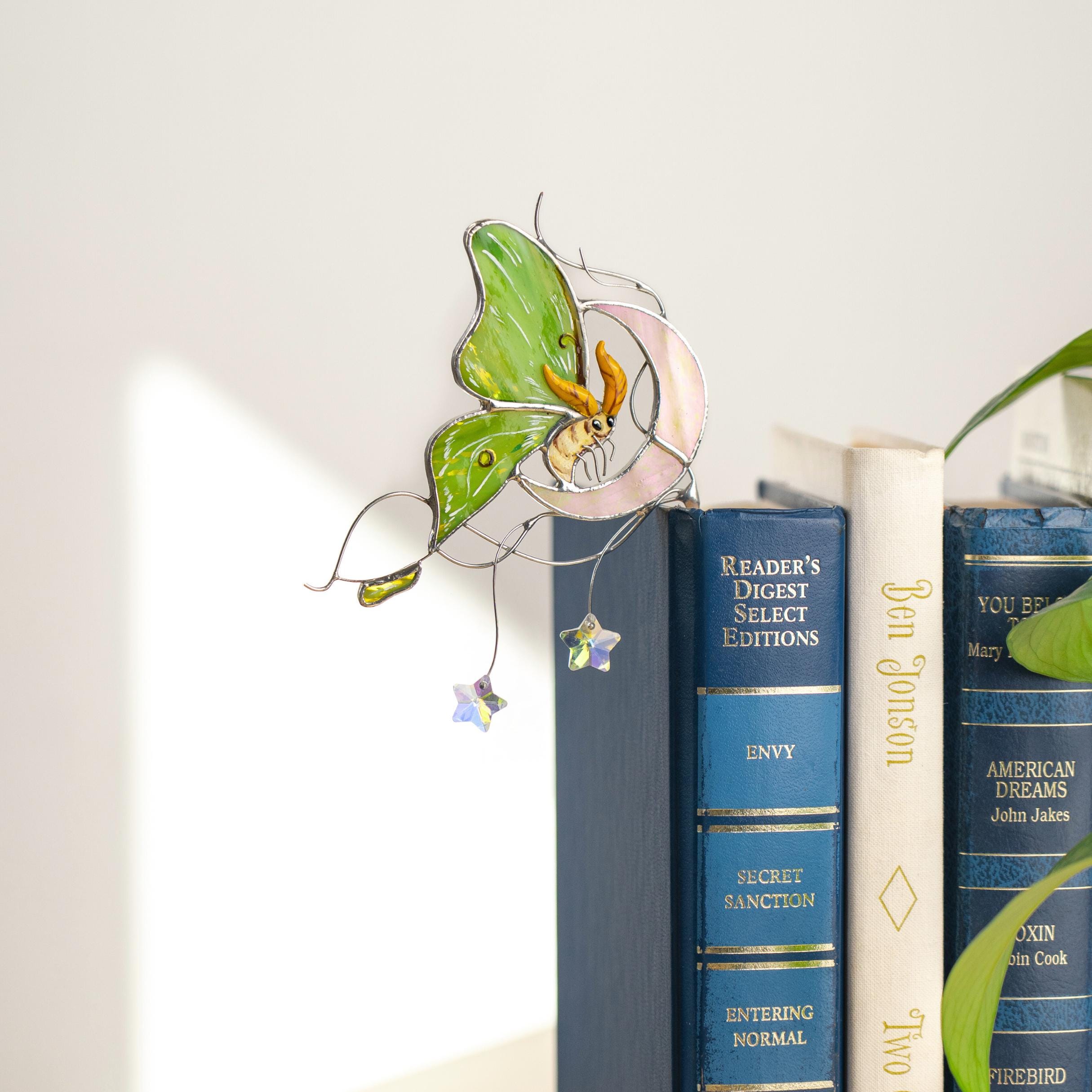 Porte-pot en verre teinté papillon et lune – Décoration pour pots de fleurs