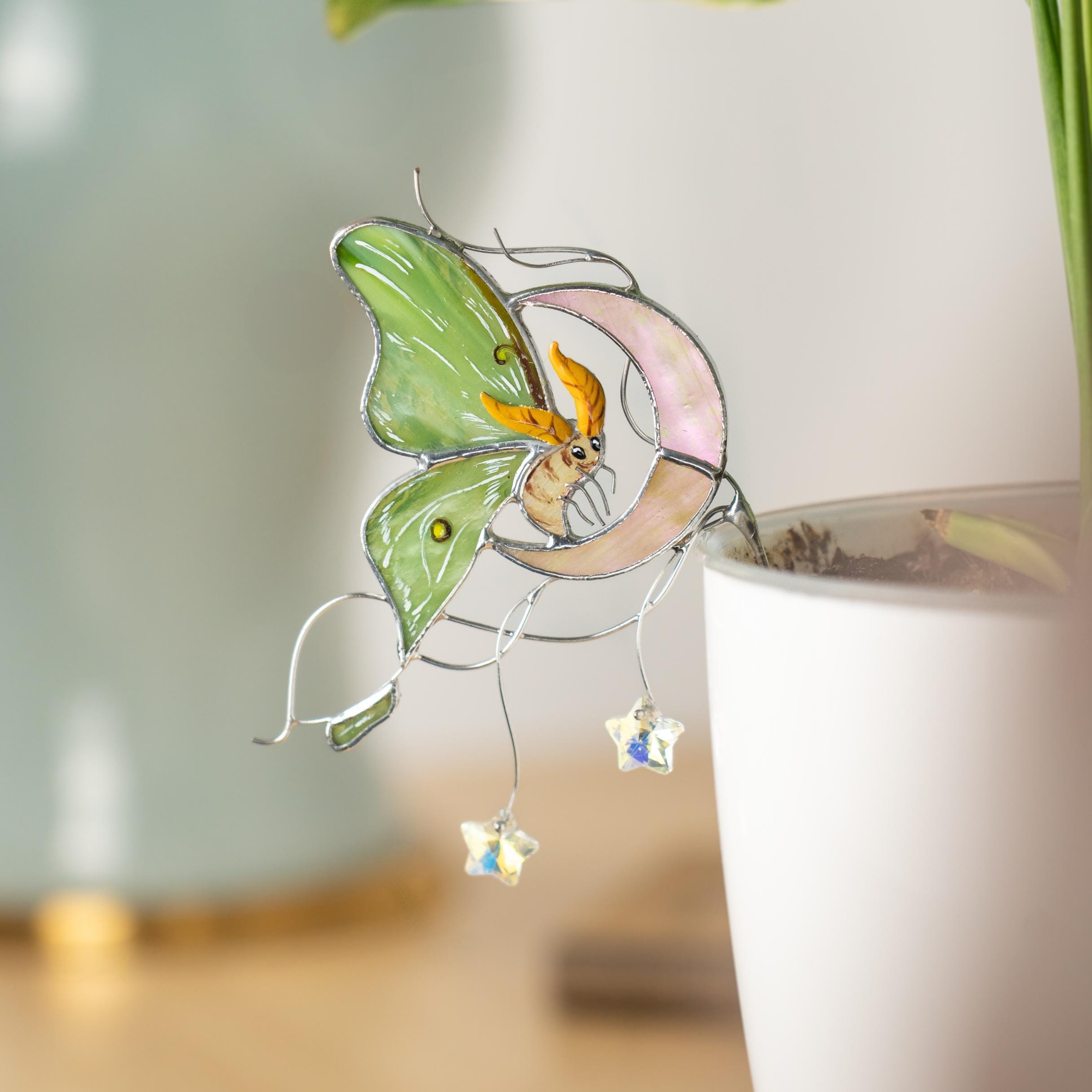 Porte-pot en verre teinté papillon et lune – Décoration pour pots de fleurs