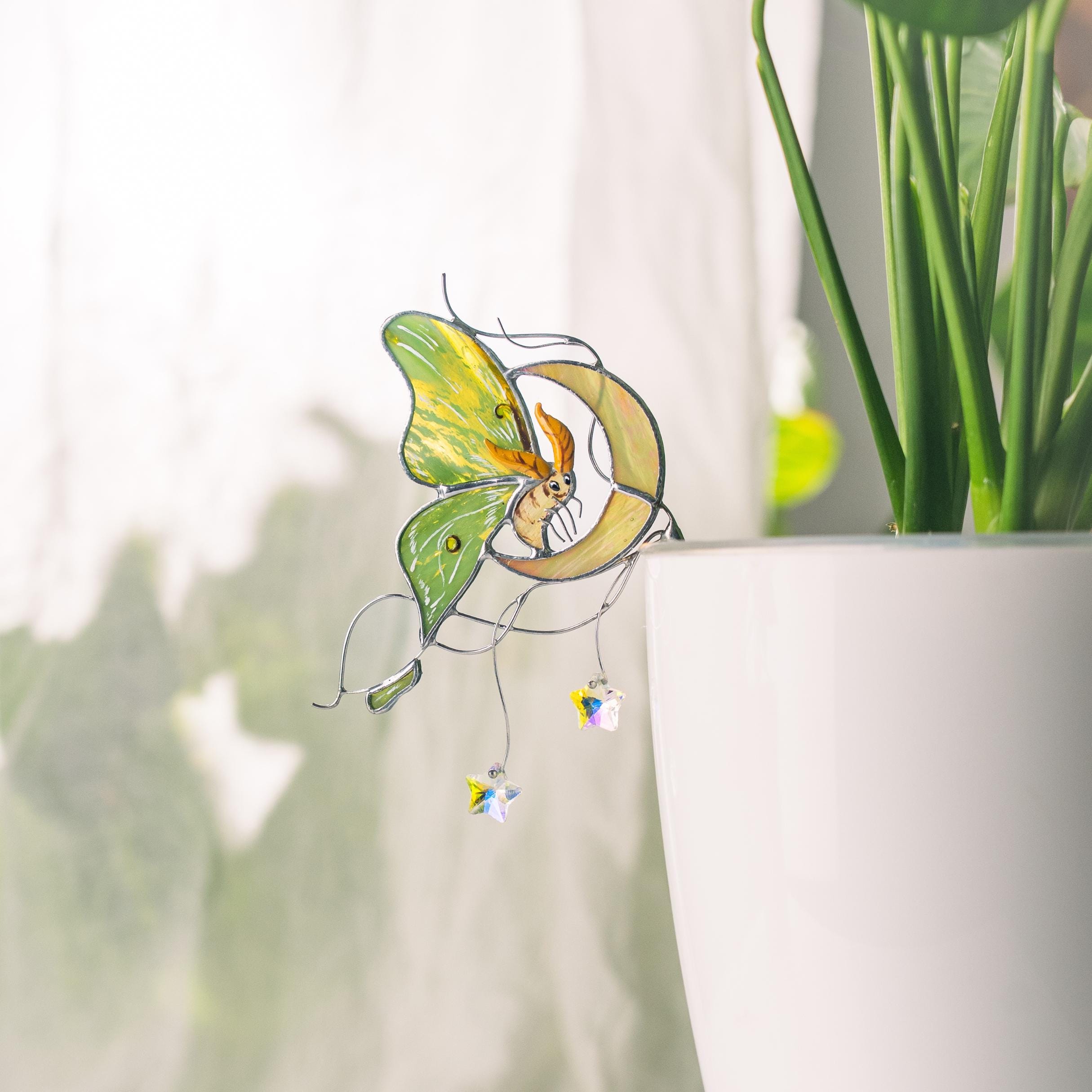 Porte-pot en verre teinté papillon et lune – Décoration pour pots de fleurs