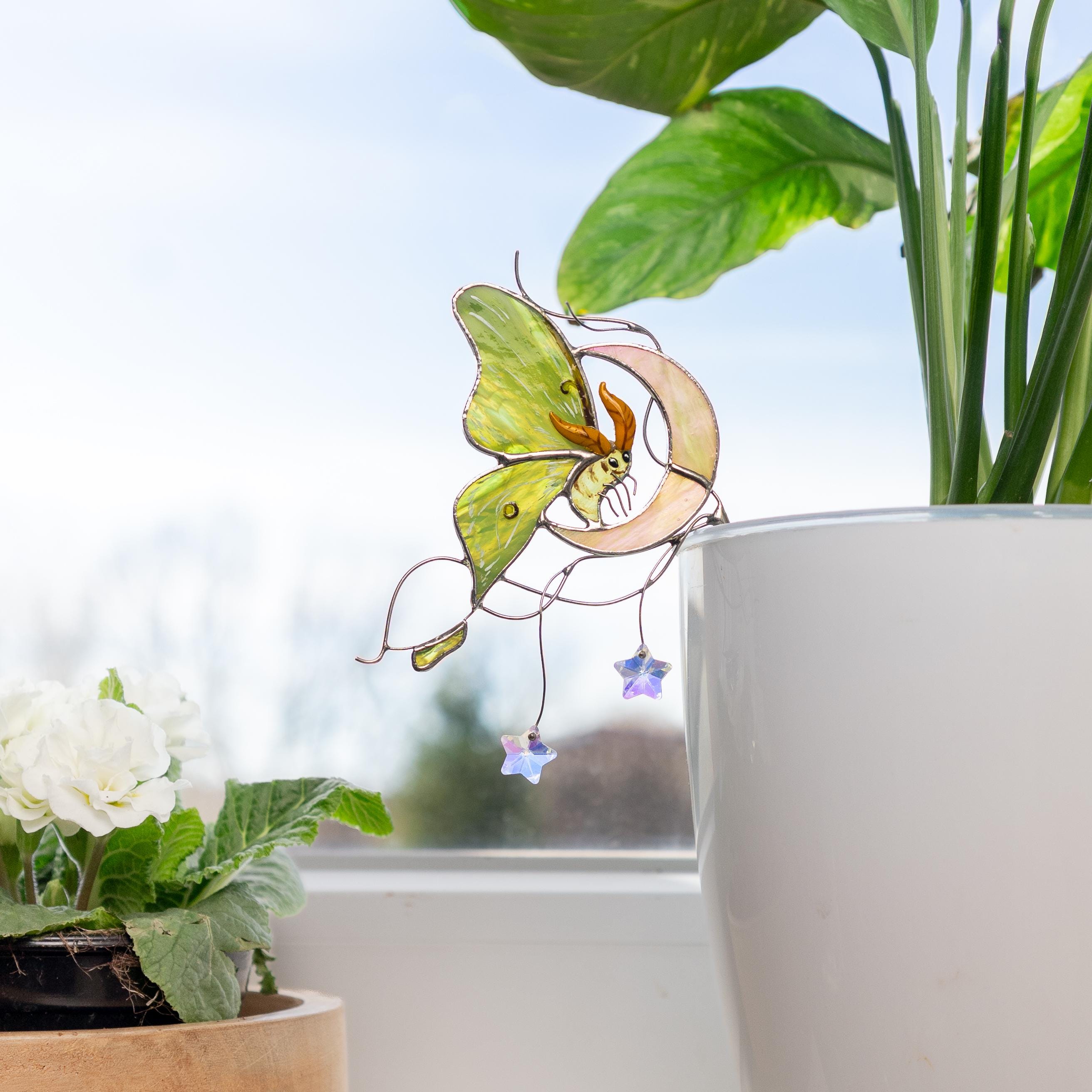 Porte-pot en verre teinté papillon et lune – Décoration pour pots de fleurs