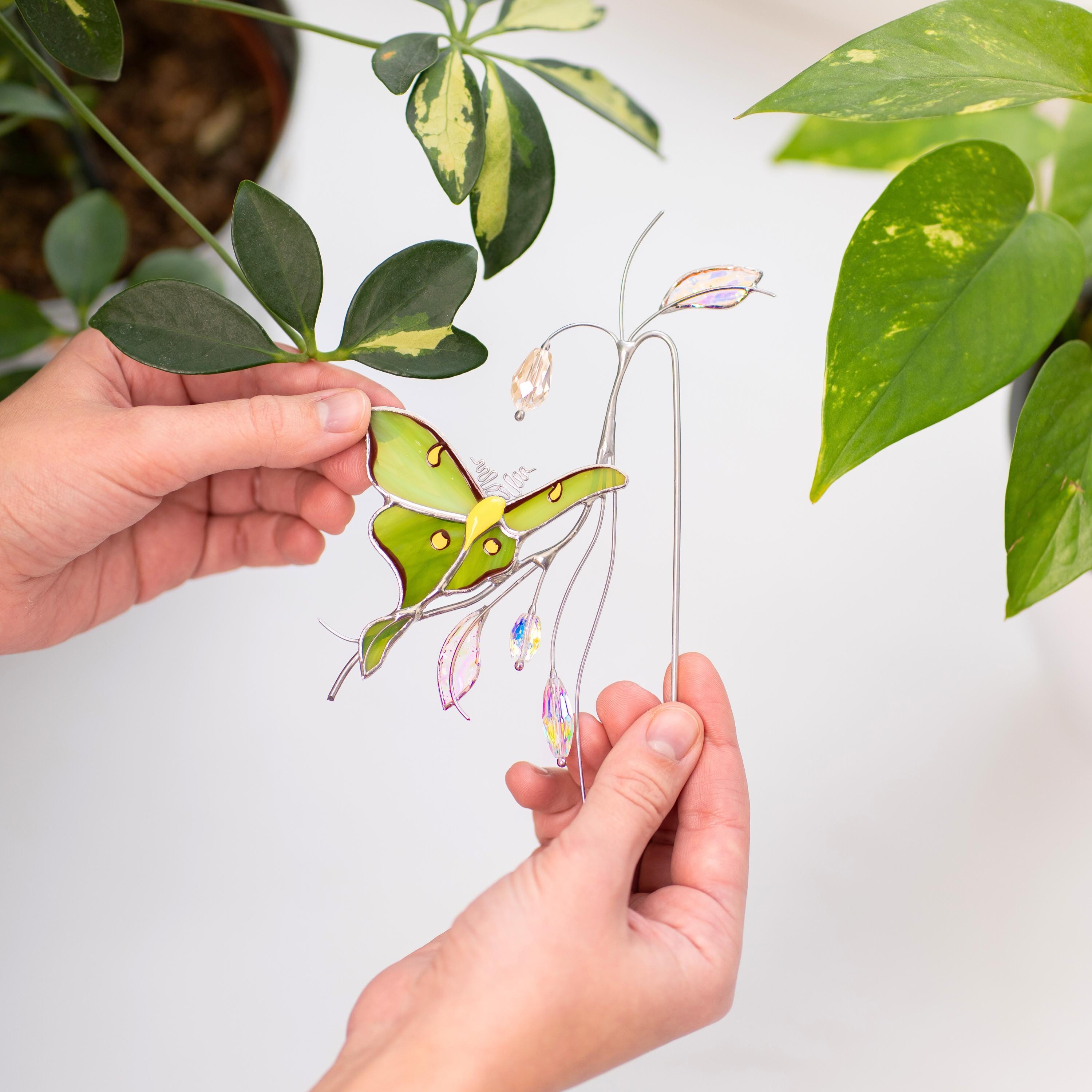 Support pour plante en vitrail papillon vert – Adapté aux pots de fleurs
