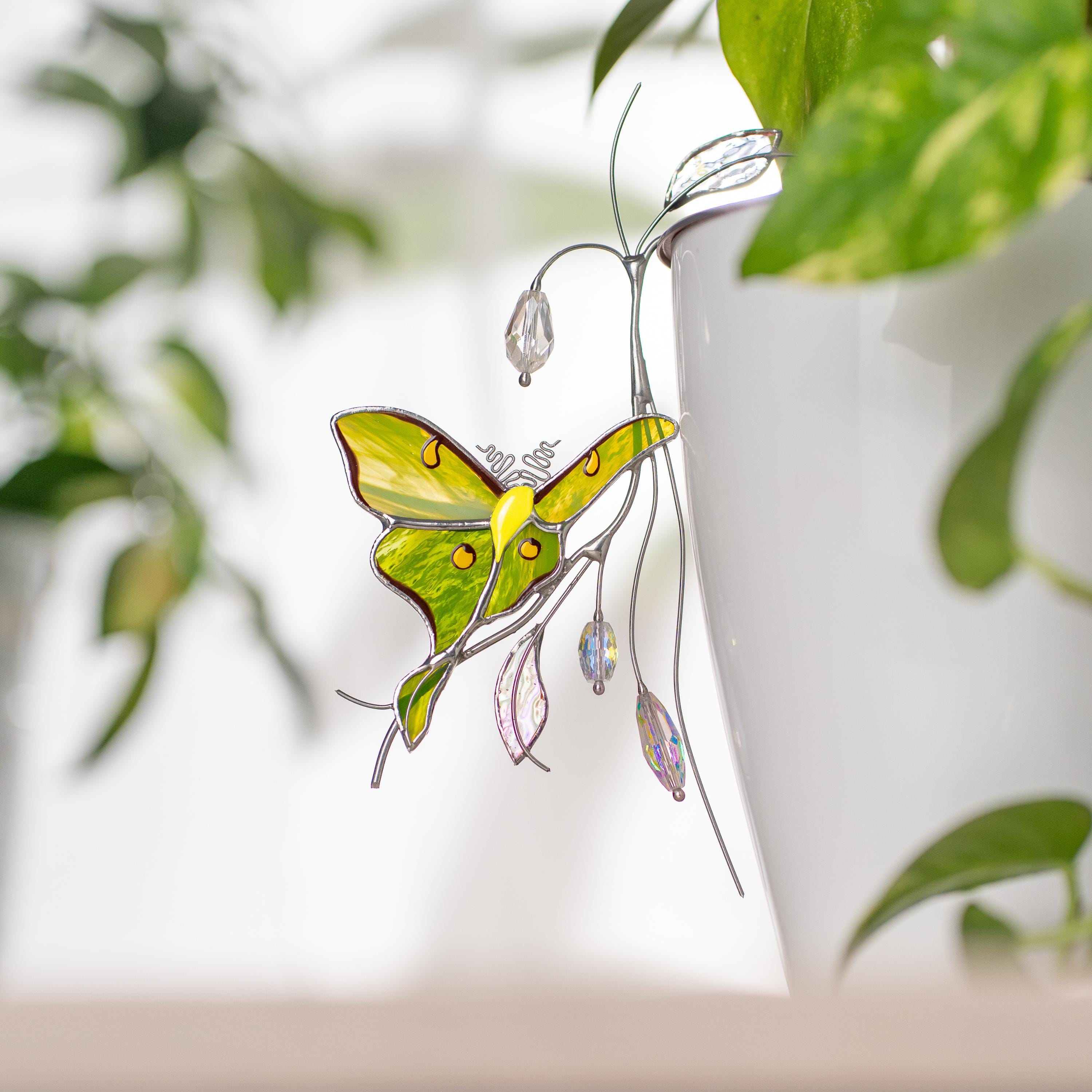 Support pour plante en vitrail papillon vert – Adapté aux pots de fleurs