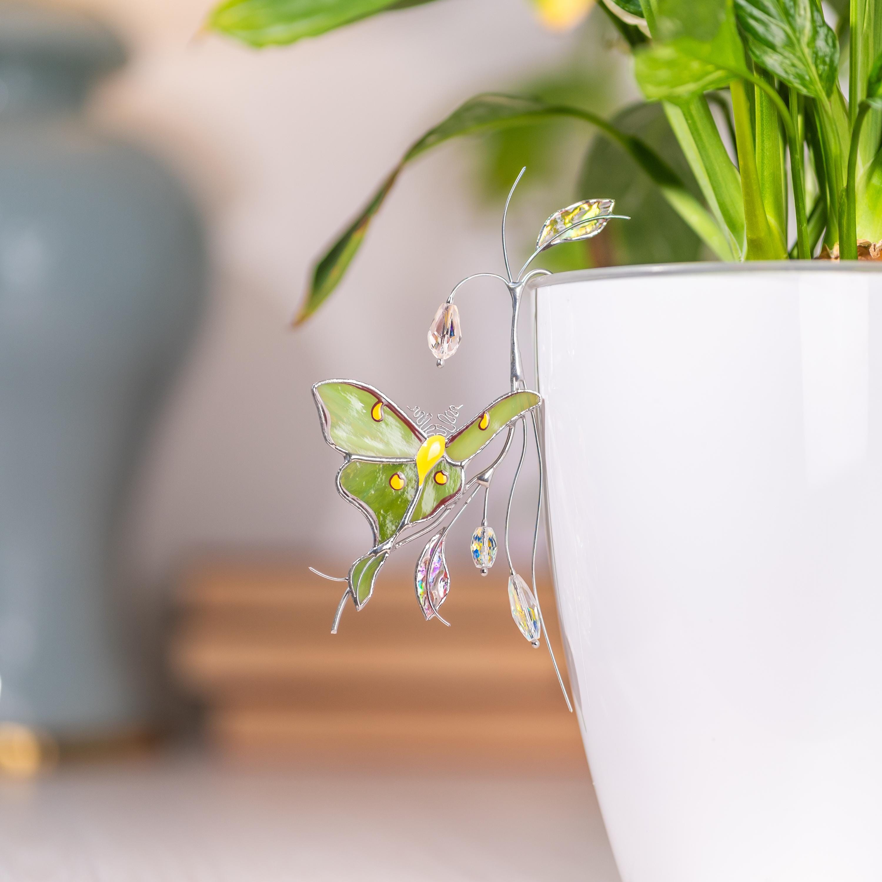 Support pour plante en vitrail papillon vert – Adapté aux pots de fleurs