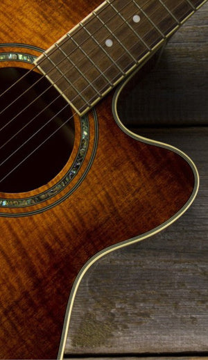 ACOUSTIC GUITARS