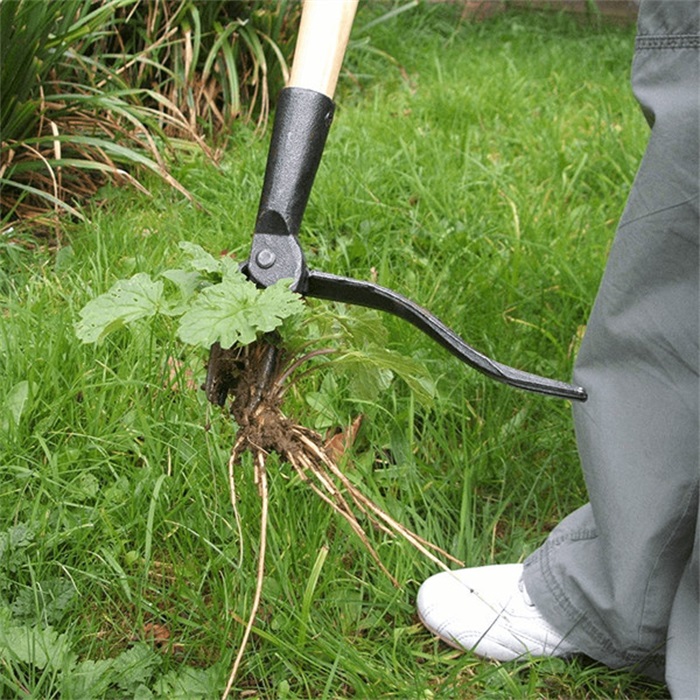 2024 New Detachable Weed Puller