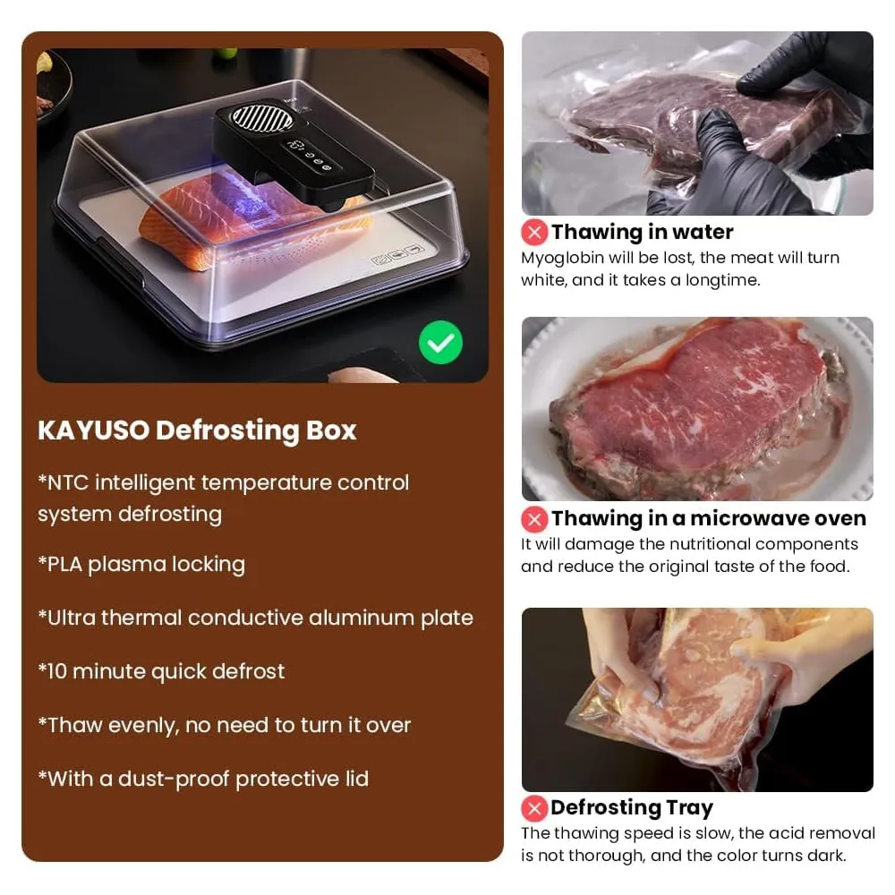 🥩 Smart Defrosting Tray Box with Lid
