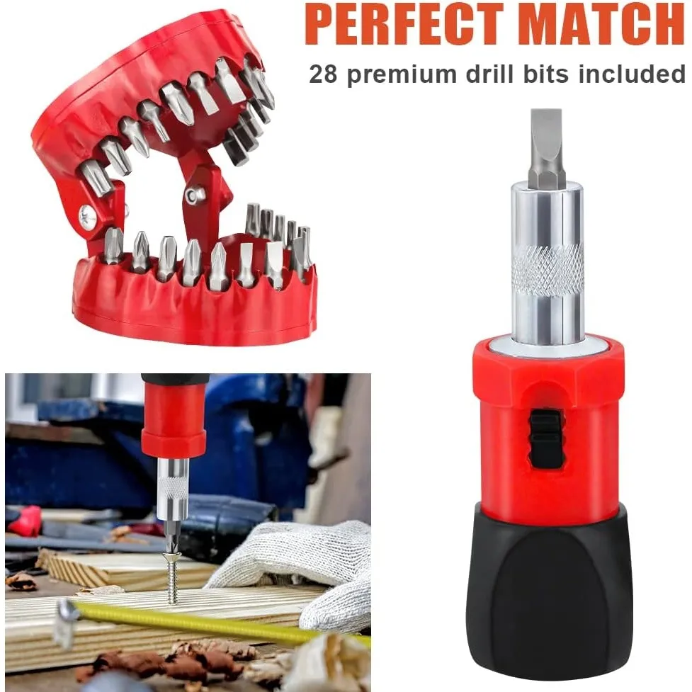 Grab-and-Go Denture Drill Bit Organizer Set