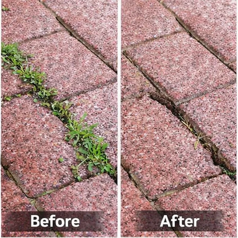 🌿 Patio Crack Weeding Tool