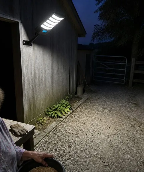 Solar Motion Sensor Courtyard Light - Automatic Outdoor Illumination