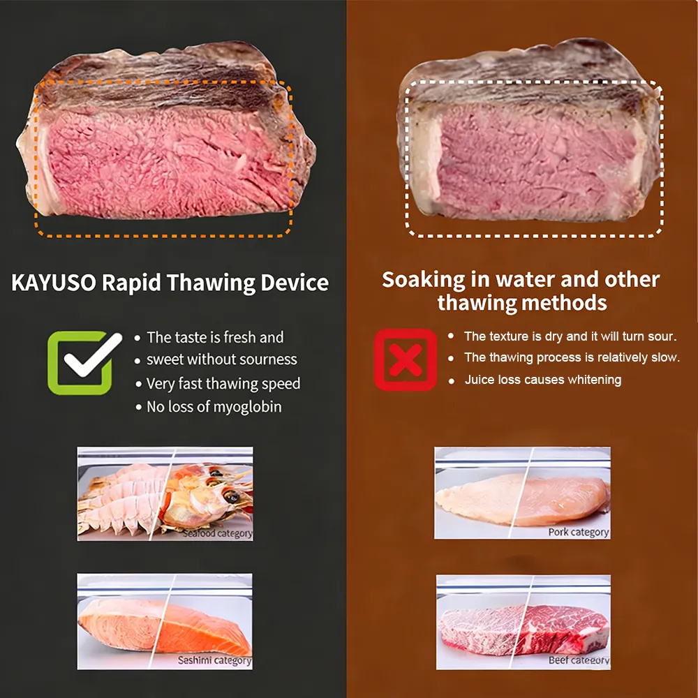 🥩 Smart Defrosting Tray Box with Lid