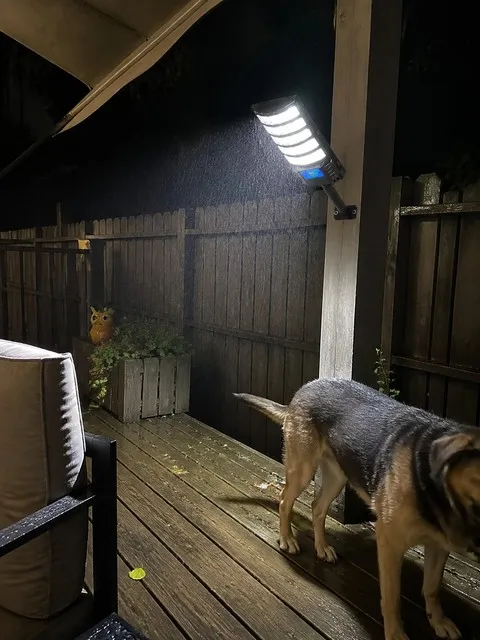 Solar Motion Sensor Courtyard Light - Automatic Outdoor Illumination