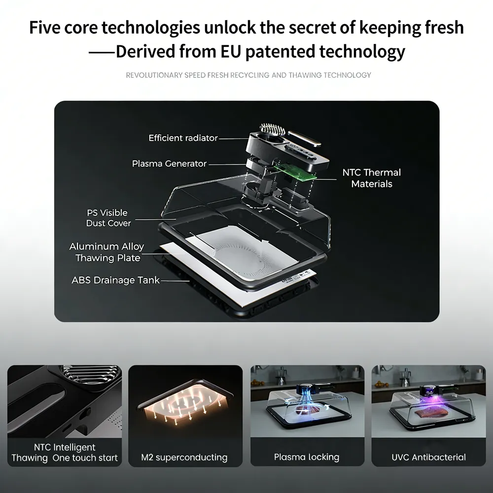 🥩 Smart Defrosting Tray Box with Lid