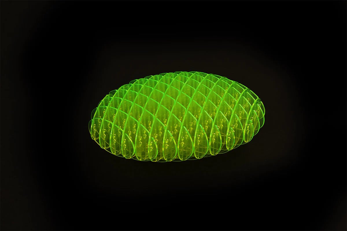 Worm Big Fidget Toy