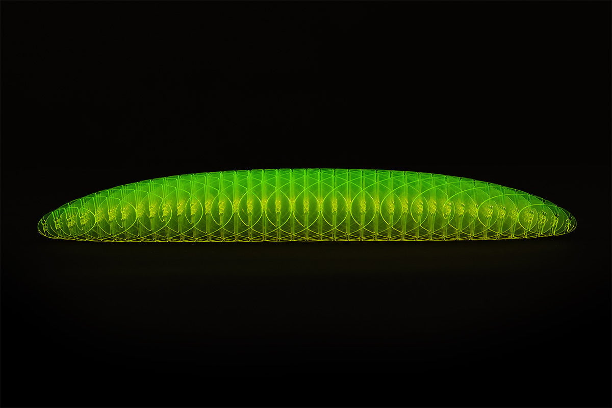 Worm Big Fidget Toy