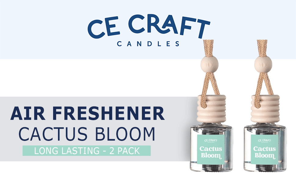 Oils. Scents Fragrance Aromatherapy Automobile Diffuser. Long Lasting Car Diffuser Bottle 2 Pack