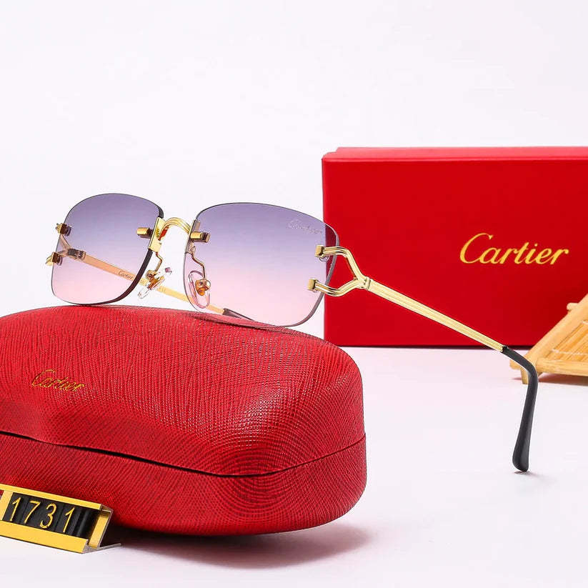 The new hottest trendy sunglasses 1731