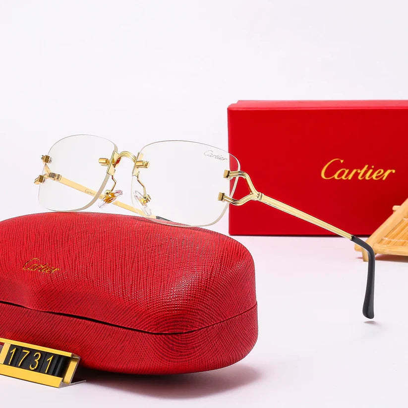 The new hottest trendy sunglasses 1731