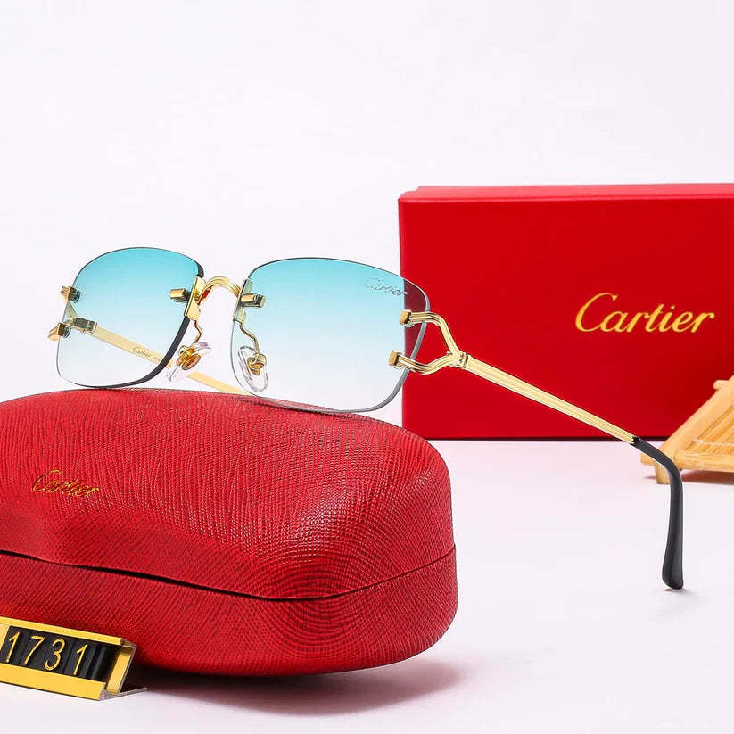 The new hottest trendy sunglasses 1731