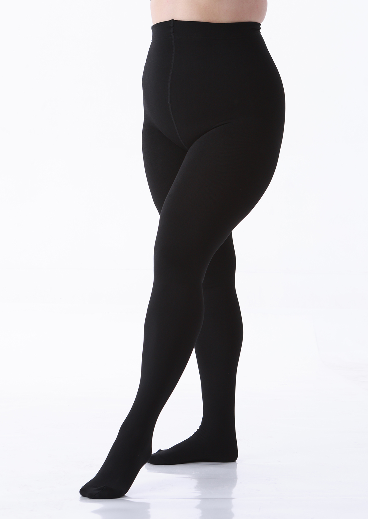 LADYFAN 2 Pack 200D Plus Size Fleece Lined Tights for Women