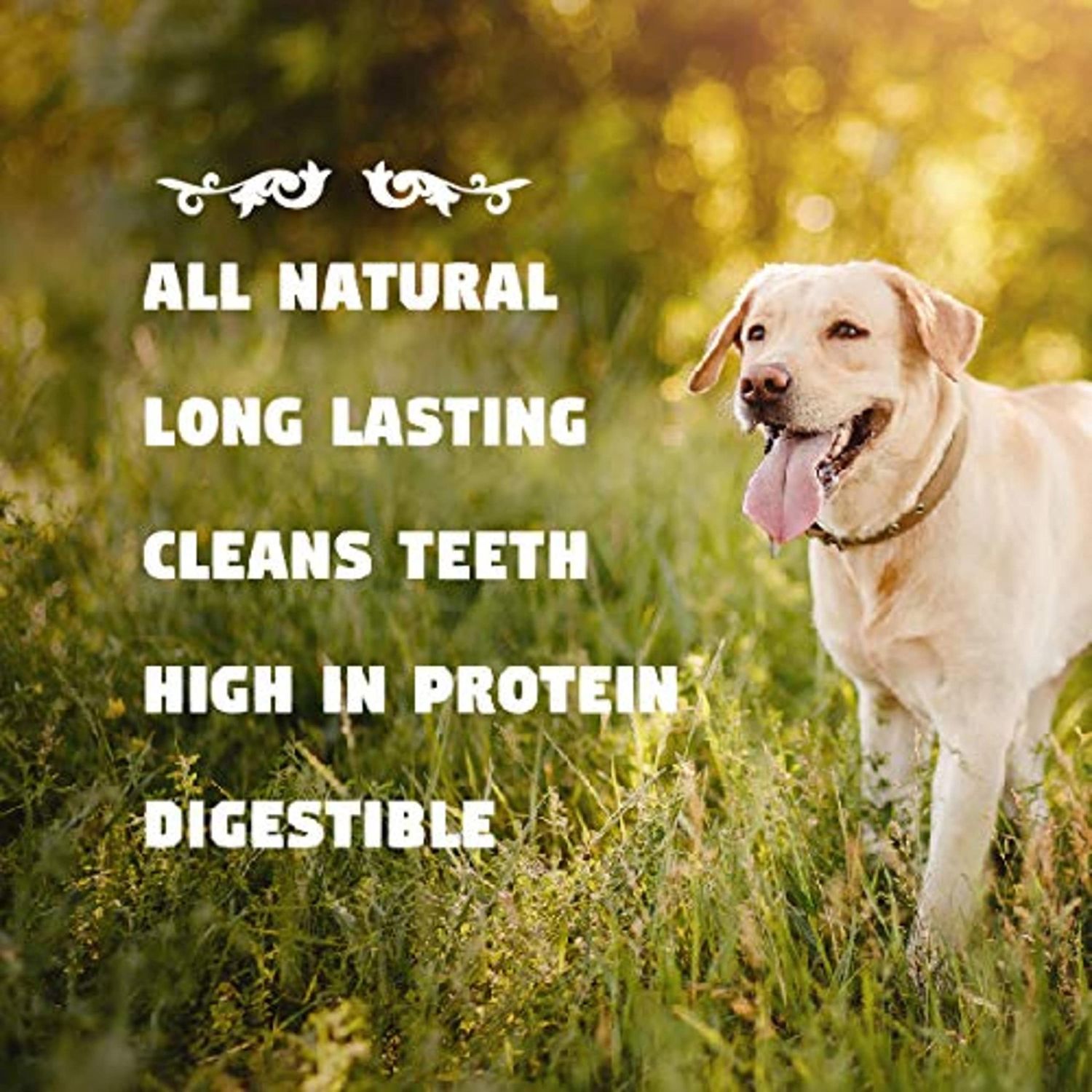 Downtown Pet Supply Dog Bones - Cow Hooves for Dogs Made in USA - Dog Dental Treats & Rawhide Free Dog Chews - Bully Sticks Alternative - Dog Chew Bones - Grass-Fed Beef Hooves - Plain - 10 Pack