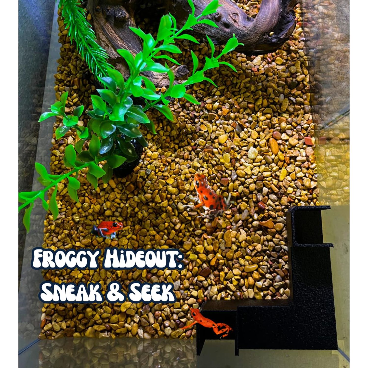 Chatelet Aquarium Underground Tunnel | Fish & Shrimp Hideout for Aquariums | Unique Underground Viewing Tunnel | Made in USA (Corner Tunnel, Black)