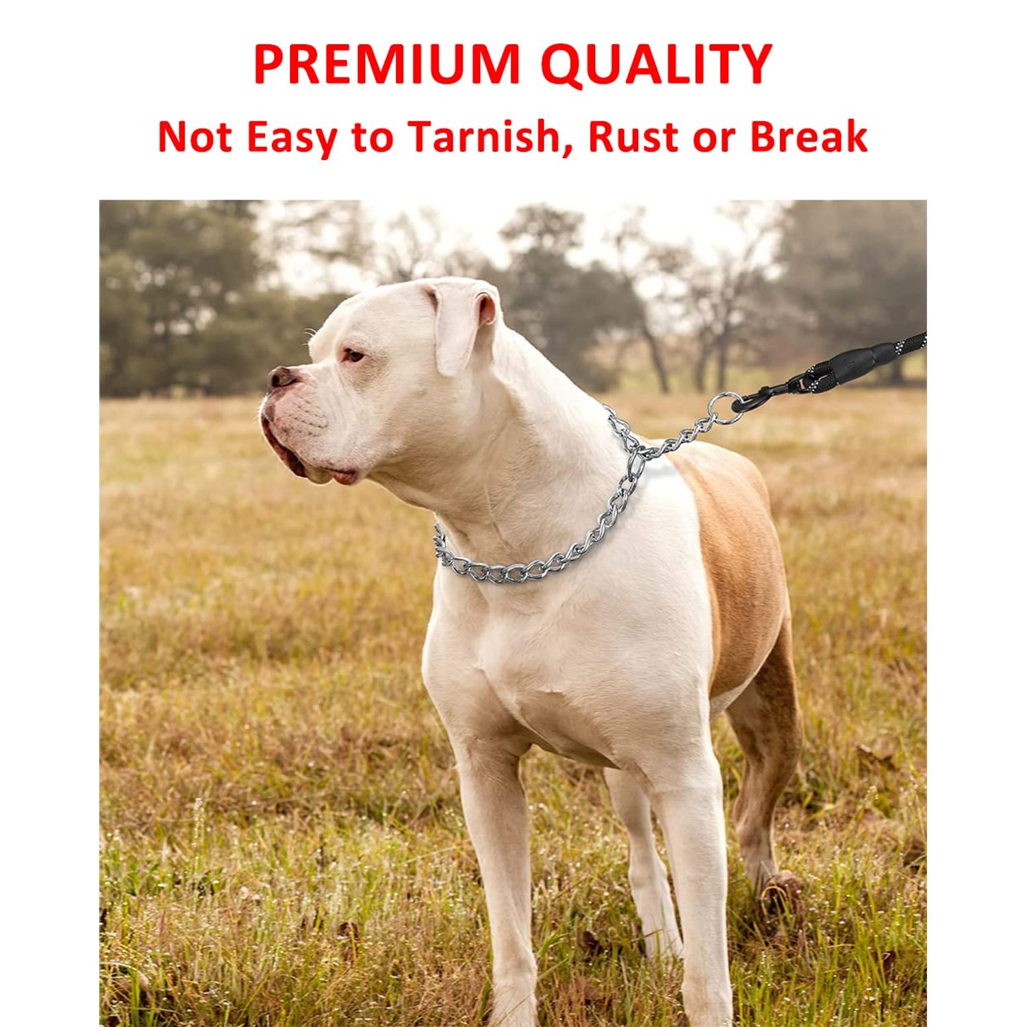 Mystercome Dog Collar Slip Collar Metal Collar Chewproof P Collar Heavy Chain Dog Training Collar Choke Collar Adjustable Weather Proof Alloy Collars for Small Medium Large Dogs 25inch,4.0mm