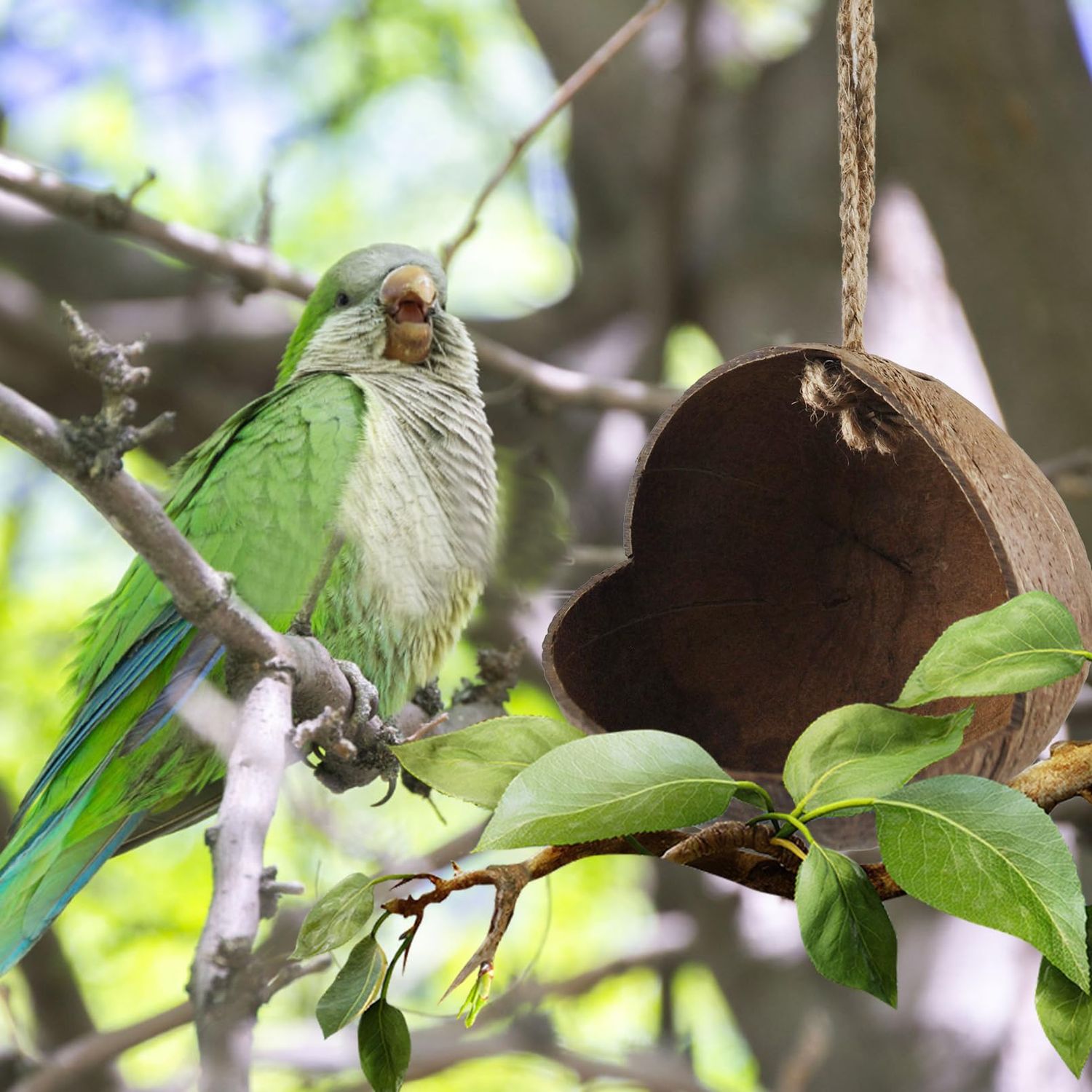 MUYG Natural Coconut Bird Nest,Hanging Coco Birds House Habitats Decor,Parrots Coconut Shell Nest Hideout with Grinding Beak Toys,Bird Cage Accessories Coconut for Canary Lovebird Cockatiel