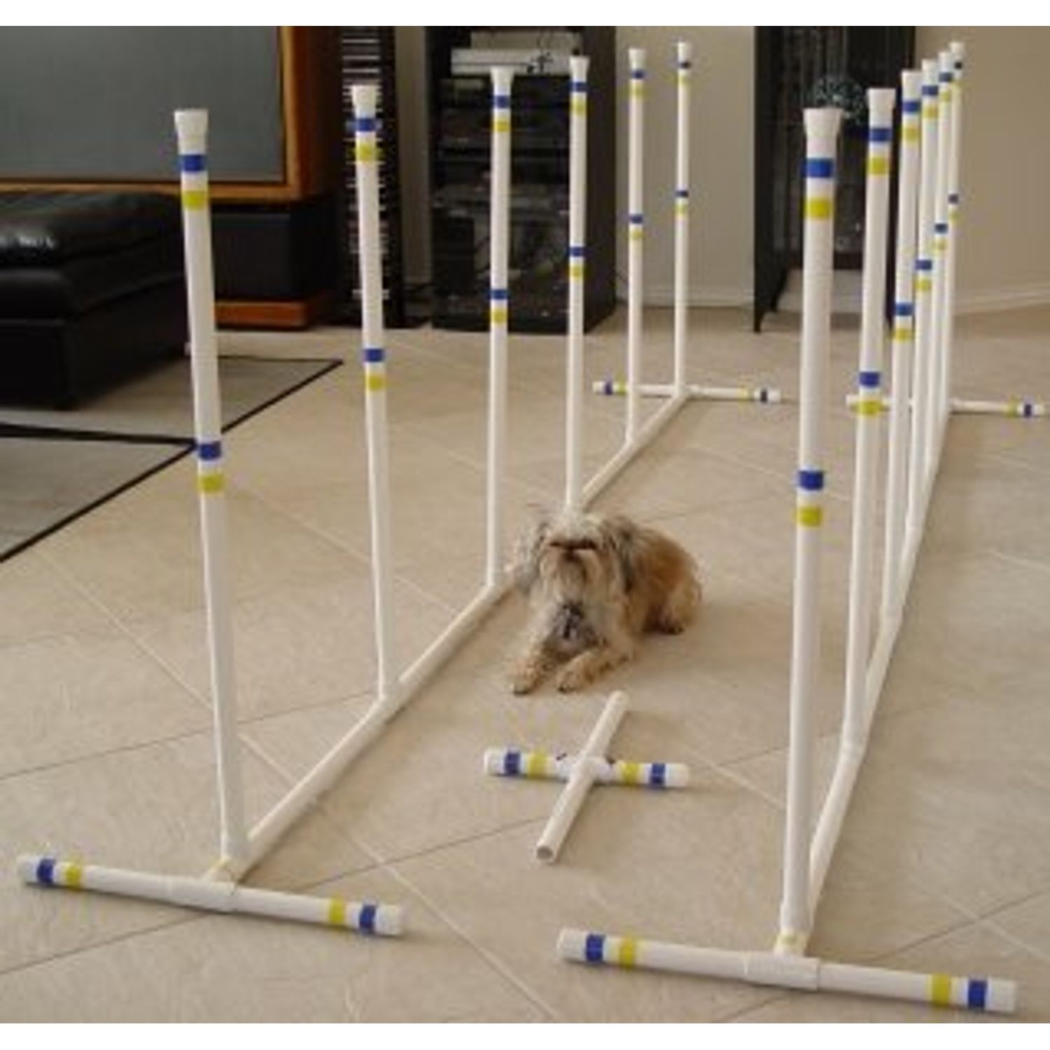 Indoor/Outdoor Dog Agility Weave Poles - Set of 12