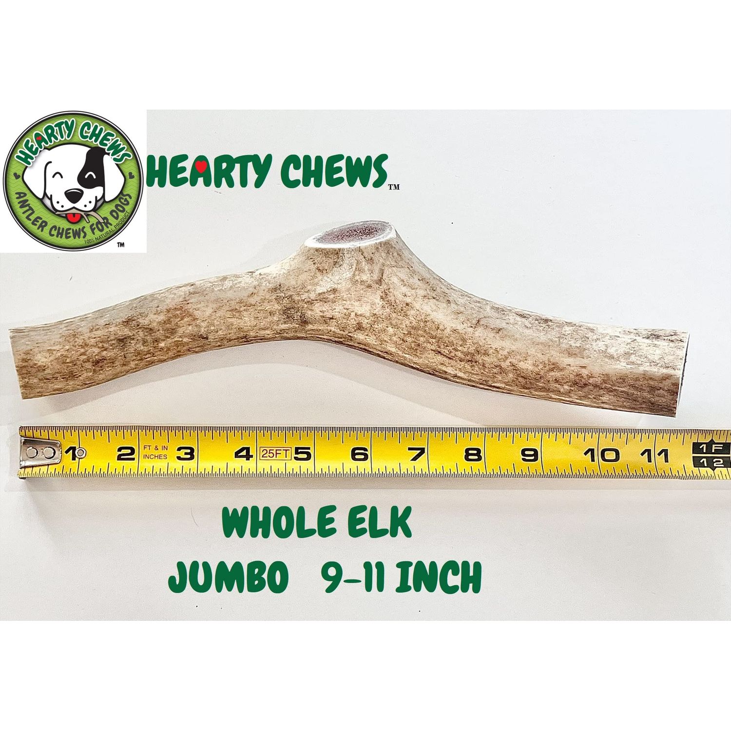 HEARTY CHEWS ELK Antler for Dogs | Natural Dog Chew | 100% Organic Grade A Antler Chew Bone, Supports Teeth & Gum Health, Long Lasting Dog Treat - Jumbo (About 9-11 inches)